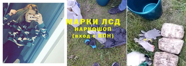 ГАЛЛЮЦИНОГЕННЫЕ ГРИБЫ Арсеньев
