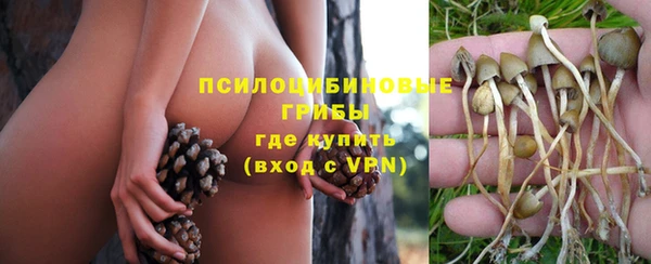 ешки Армянск