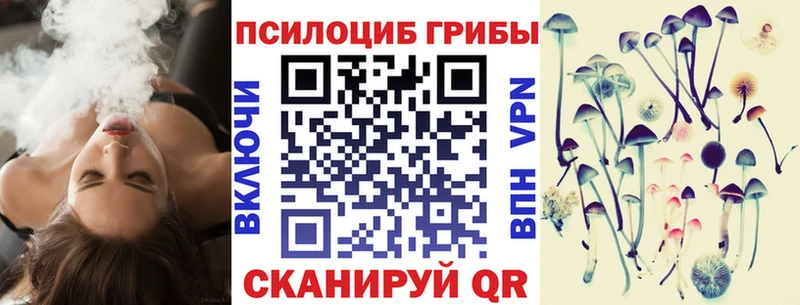 купить наркоту  Почеп  Галлюциногенные грибы прущие грибы 
