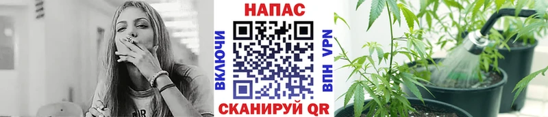 Шишки марихуана OG Kush  где купить   KRAKEN зеркало  Почеп 