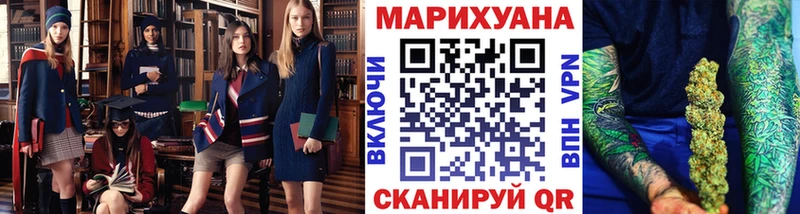 Конопля сатива Почеп